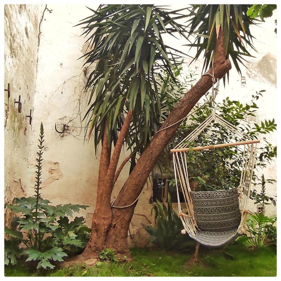 La Vigneronne Des Costieres Bed & Breakfast Vauvert Dış mekan fotoğraf
